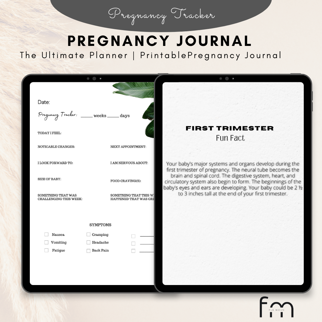Flè Moun Pregnancy Journal
